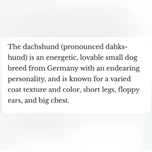 Funny Dachshund Wiener Dog I’ve Got Friends in LOW Places Grey Tee T-Shirt NEW‎ - Picture 6 of 11